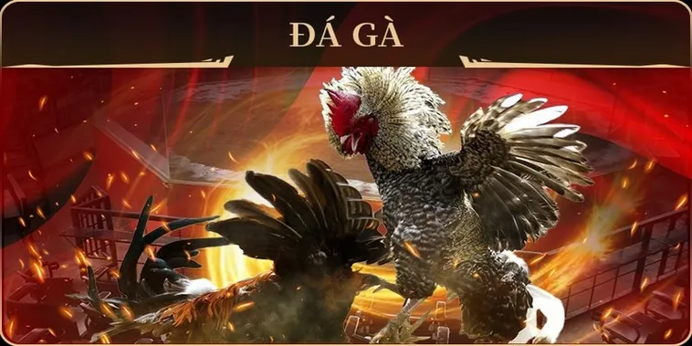 Thống Lĩnh Sàn Đấu Đá Gà GA28 Tại 789Bet Cẩm Nang Toàn Thắng